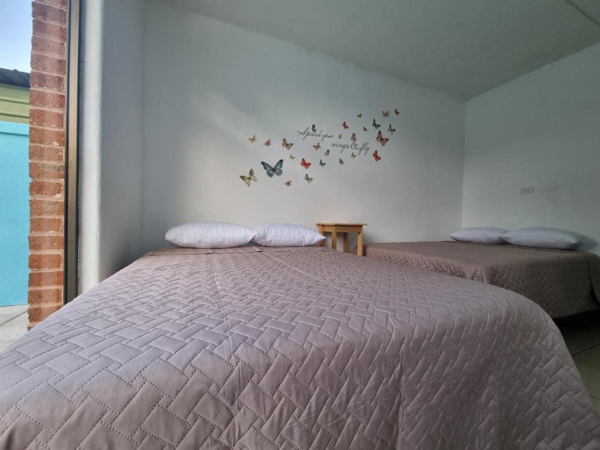 Central 10 Boutique Hostel Guatemala City Bagian luar foto