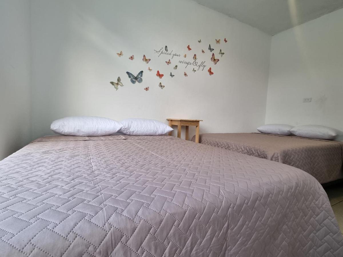 Central 10 Boutique Hostel Guatemala City Bagian luar foto