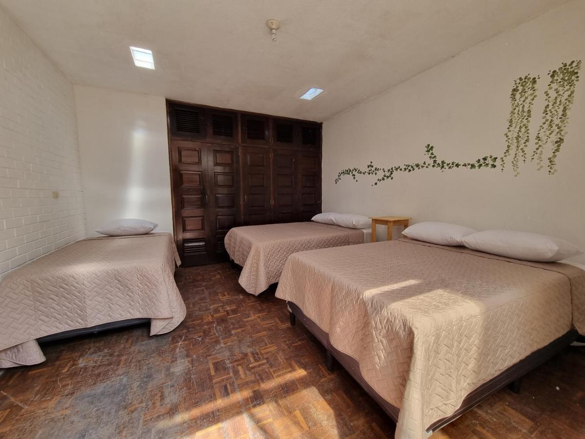 Central 10 Boutique Hostel Guatemala City Bagian luar foto